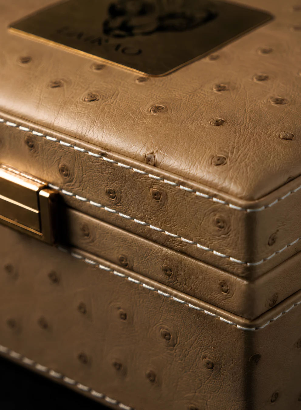 The Umrao Coffret, stitched by hand in saffron ostrich